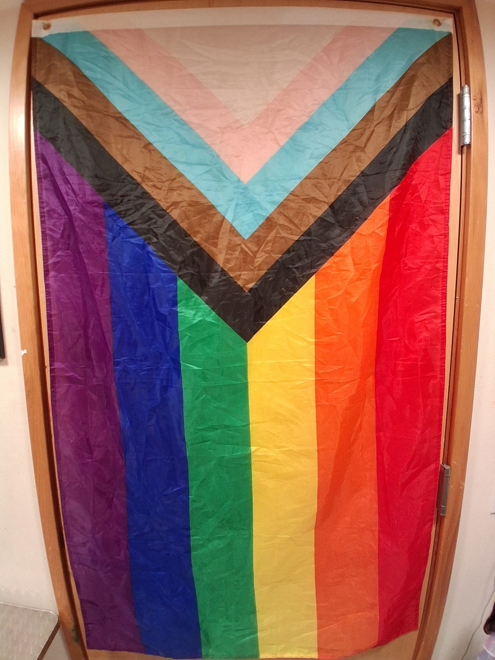 Brand New Large Pride Progress Rainbow Flag